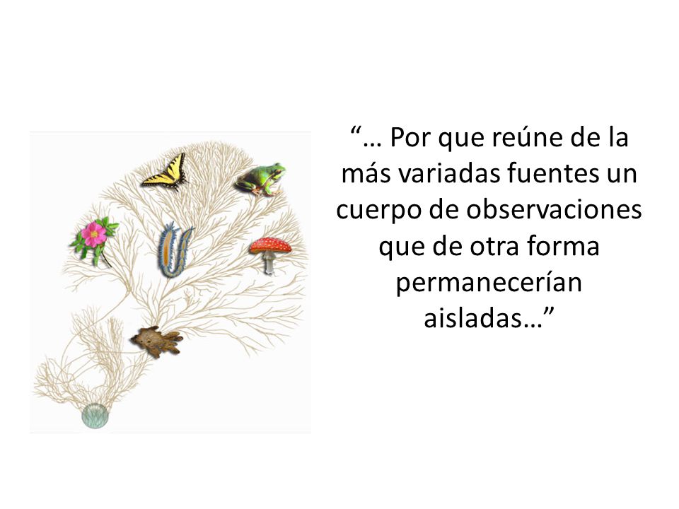 … Por que reúne de la más variadas fuentes un cuerpo de observaciones que de otra forma permanecerían aisladas…