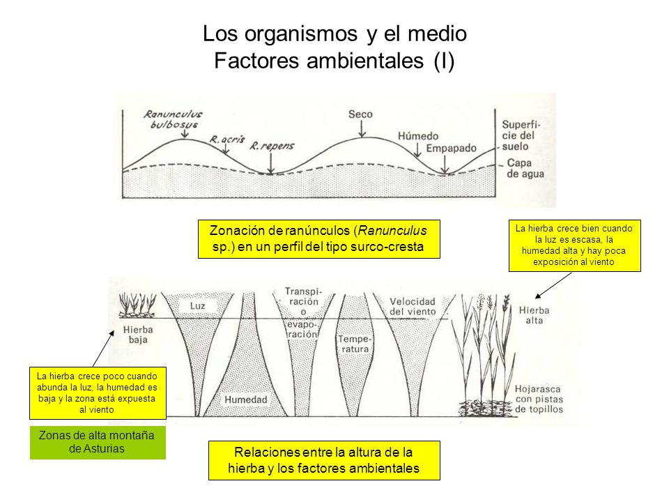 Los organismos y el medio Factores ambientales (I)