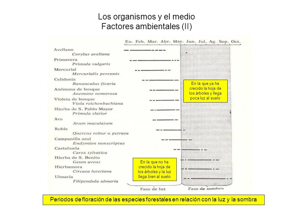 Los organismos y el medio Factores ambientales (II)