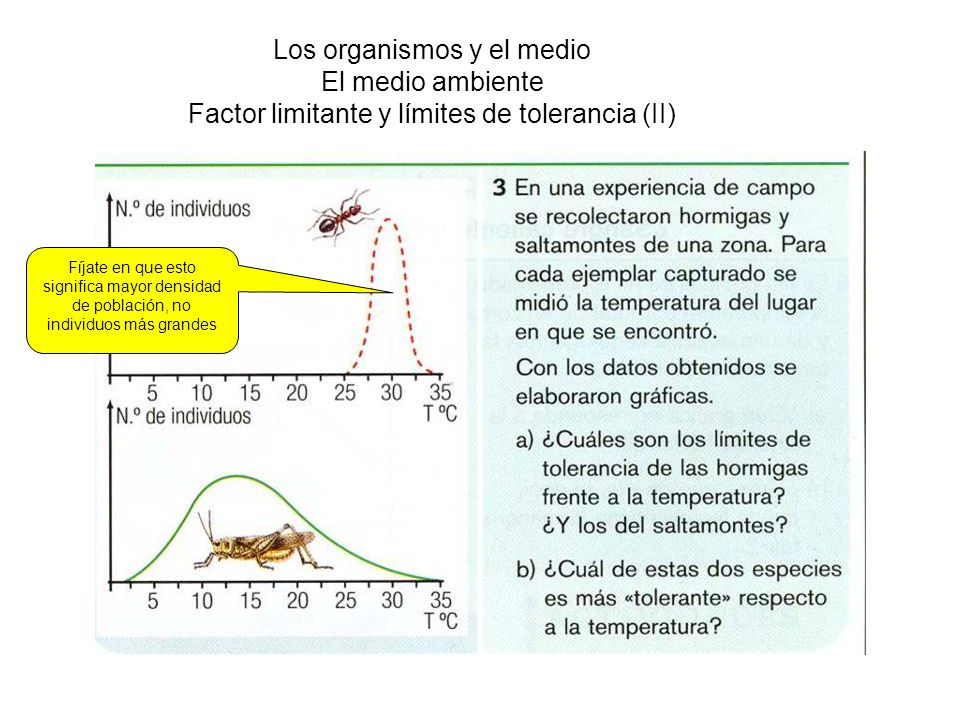 Los organismos y el medio El medio ambiente Factor limitante y límites de tolerancia (II)