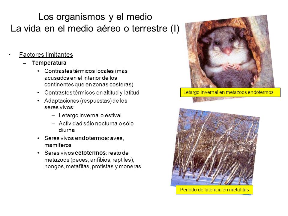 Los organismos y el medio La vida en el medio aéreo o terrestre (I)