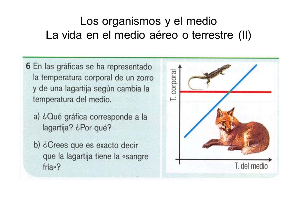 Los organismos y el medio La vida en el medio aéreo o terrestre (II)