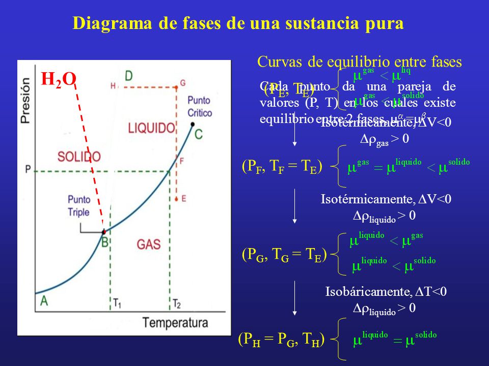 Diagrama de fases de una sustancia pura