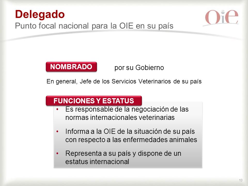 Delegado Punto focal nacional para la OIE en su país