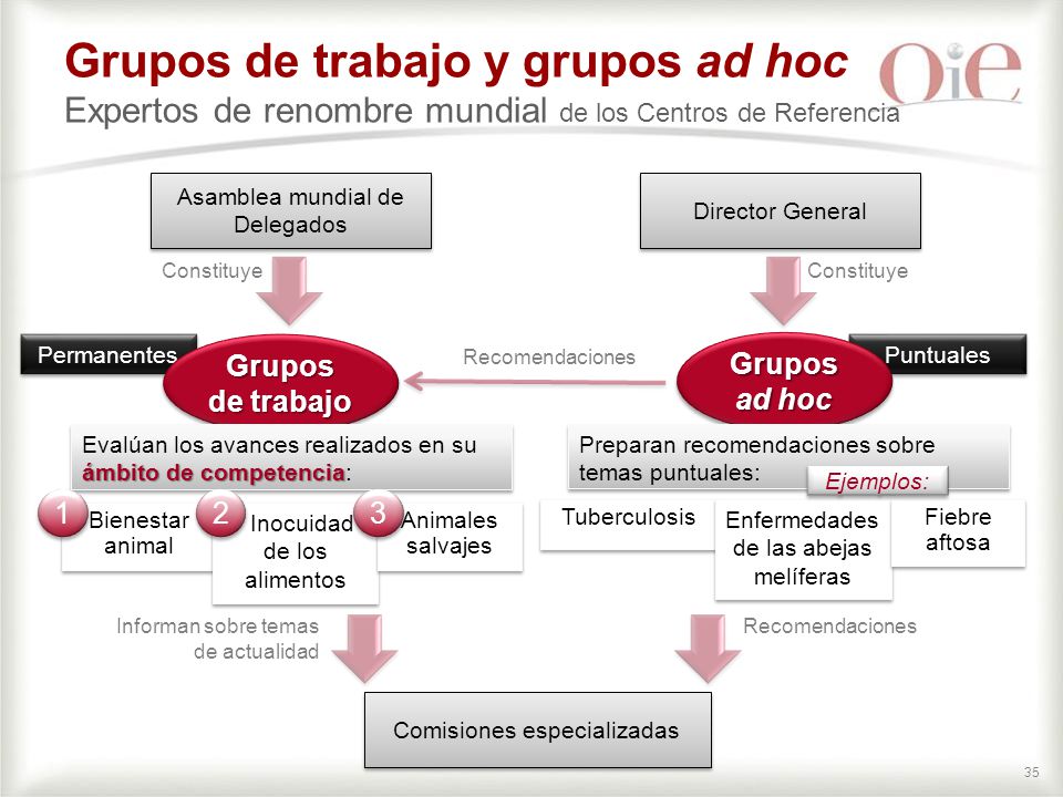 Grupos de trabajo y grupos ad hoc Expertos de renombre mundial de los Centros de Referencia