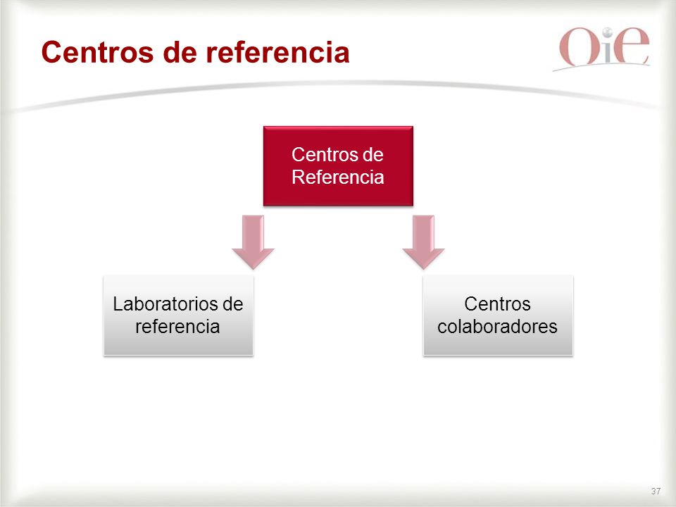 Centros de referencia Centros de Referencia Laboratorios de referencia