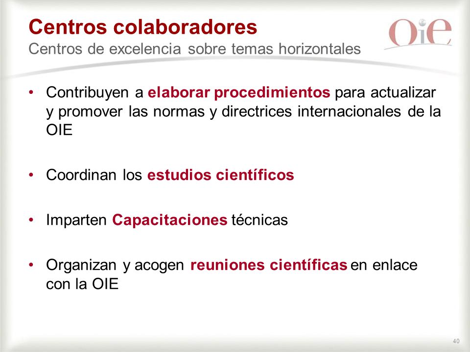 Centros colaboradores Centros de excelencia sobre temas horizontales