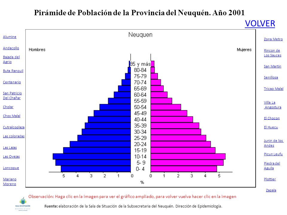 Pirámide de Población de la Provincia del Neuquén. Año 2001