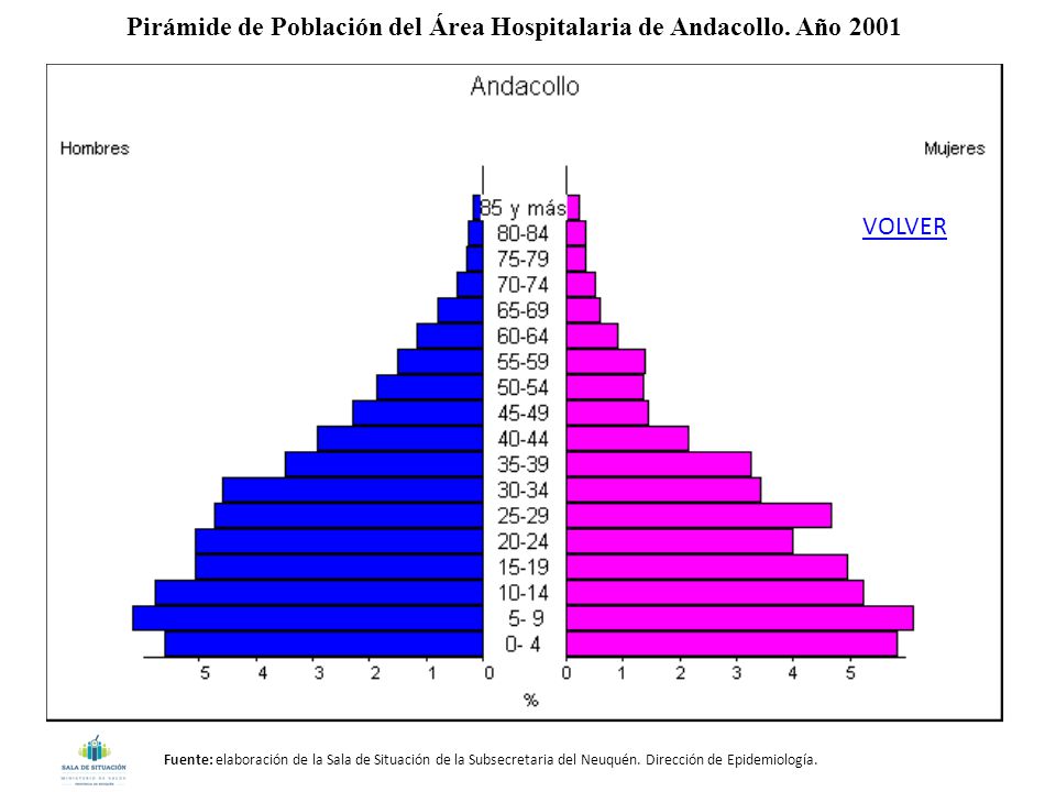 Pirámide de Población del Área Hospitalaria de Andacollo. Año 2001
