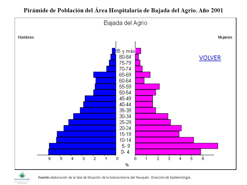 Pirámide de Población del Área Hospitalaria de Bajada del Agrio