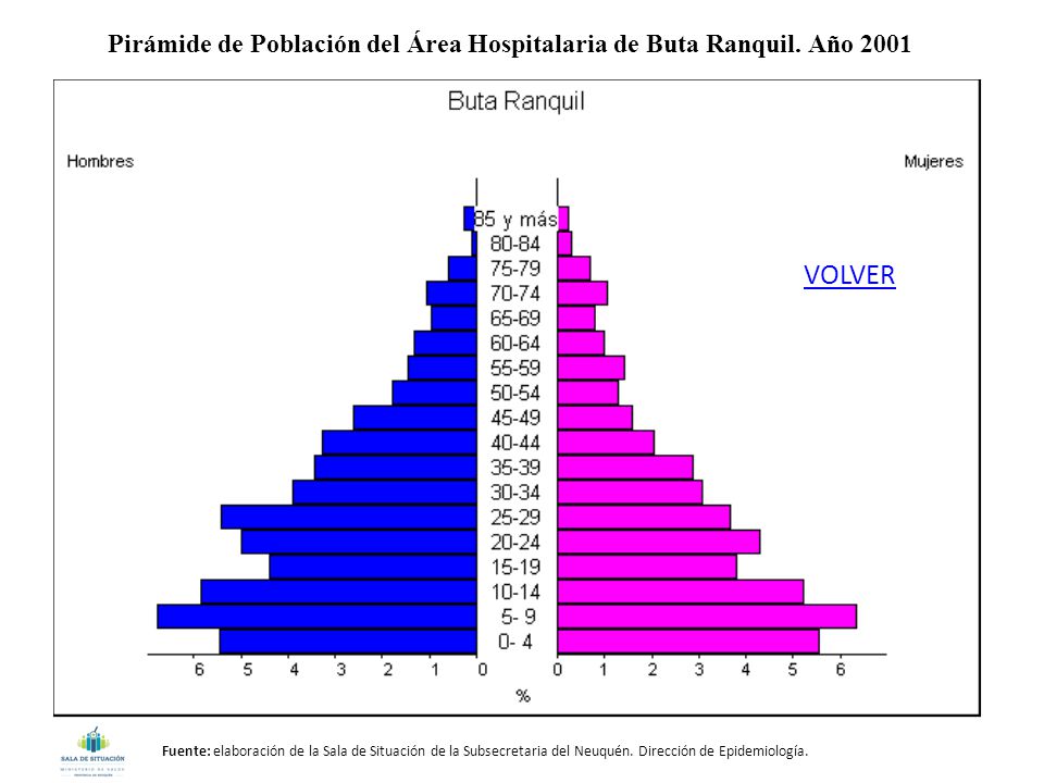 Pirámide de Población del Área Hospitalaria de Buta Ranquil. Año 2001