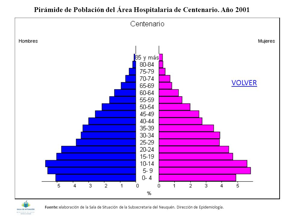 Pirámide de Población del Área Hospitalaria de Centenario. Año 2001