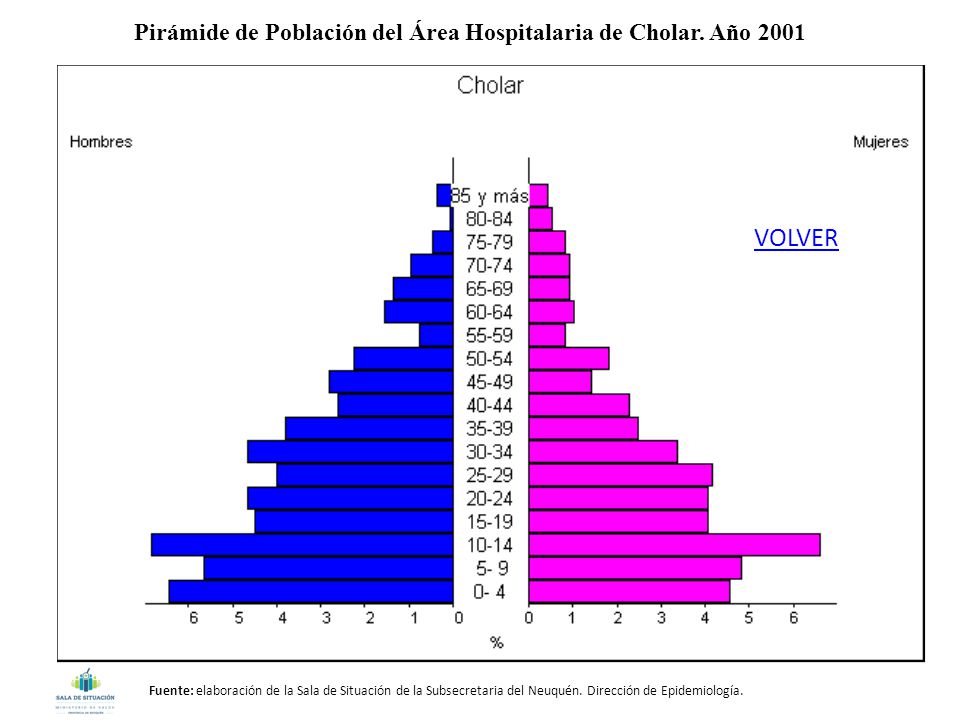 Pirámide de Población del Área Hospitalaria de Cholar. Año 2001
