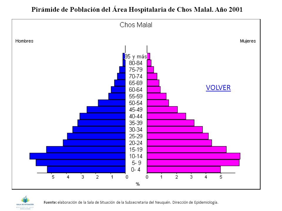 Pirámide de Población del Área Hospitalaria de Chos Malal. Año 2001
