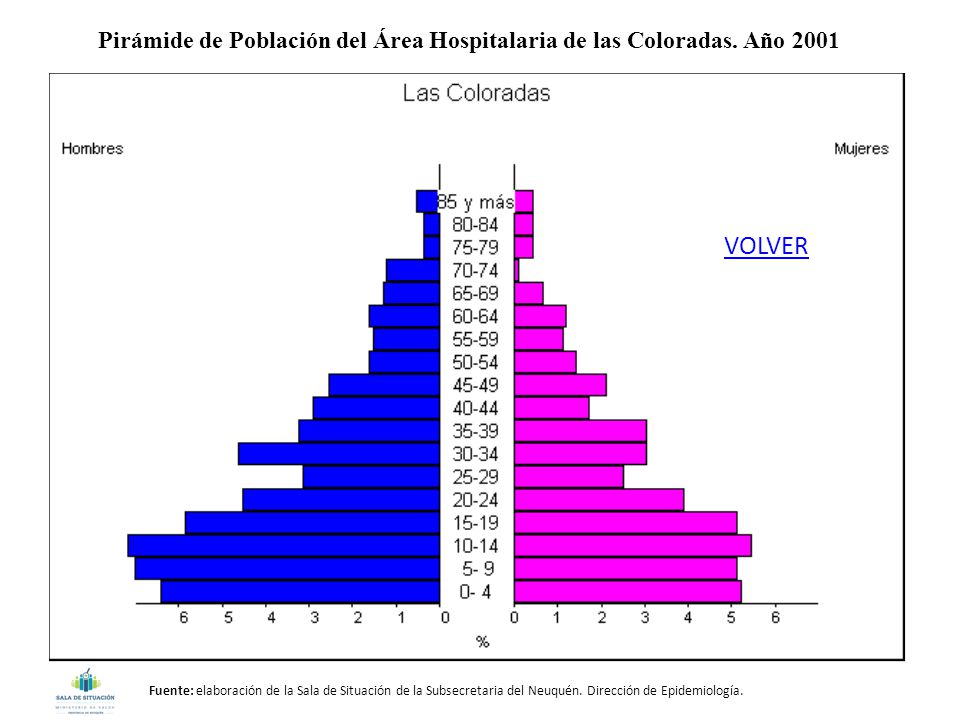 Pirámide de Población del Área Hospitalaria de las Coloradas. Año 2001