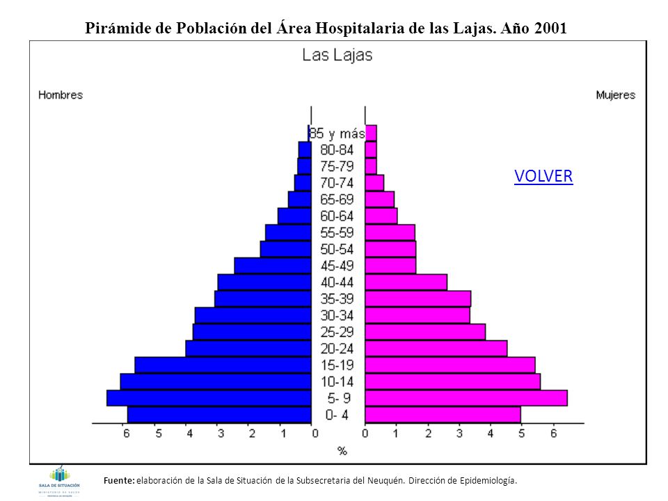 Pirámide de Población del Área Hospitalaria de las Lajas. Año 2001