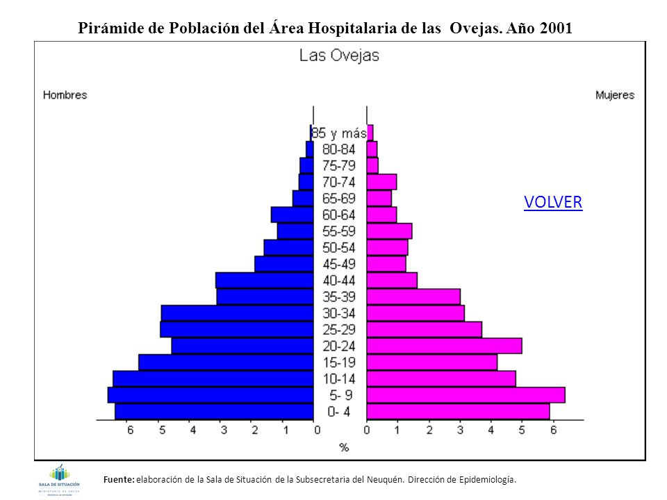 Pirámide de Población del Área Hospitalaria de las Ovejas. Año 2001