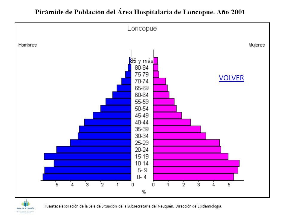 Pirámide de Población del Área Hospitalaria de Loncopue. Año 2001