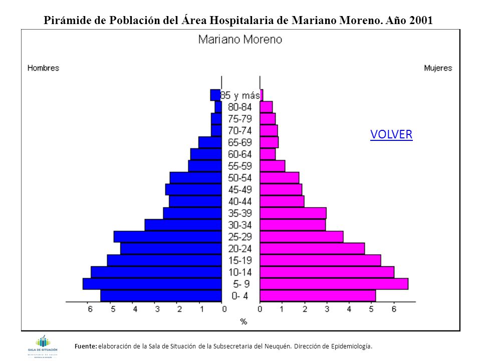 Pirámide de Población del Área Hospitalaria de Mariano Moreno. Año 2001