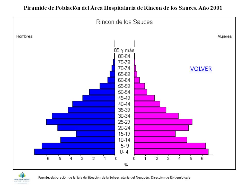 Pirámide de Población del Área Hospitalaria de Rincon de los Sauces