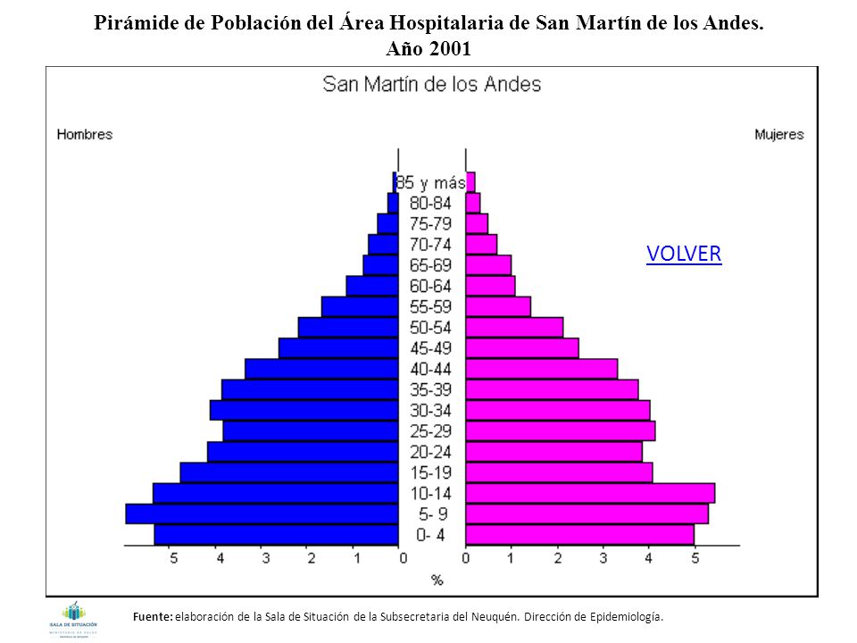 Pirámide de Población del Área Hospitalaria de San Martín de los Andes.