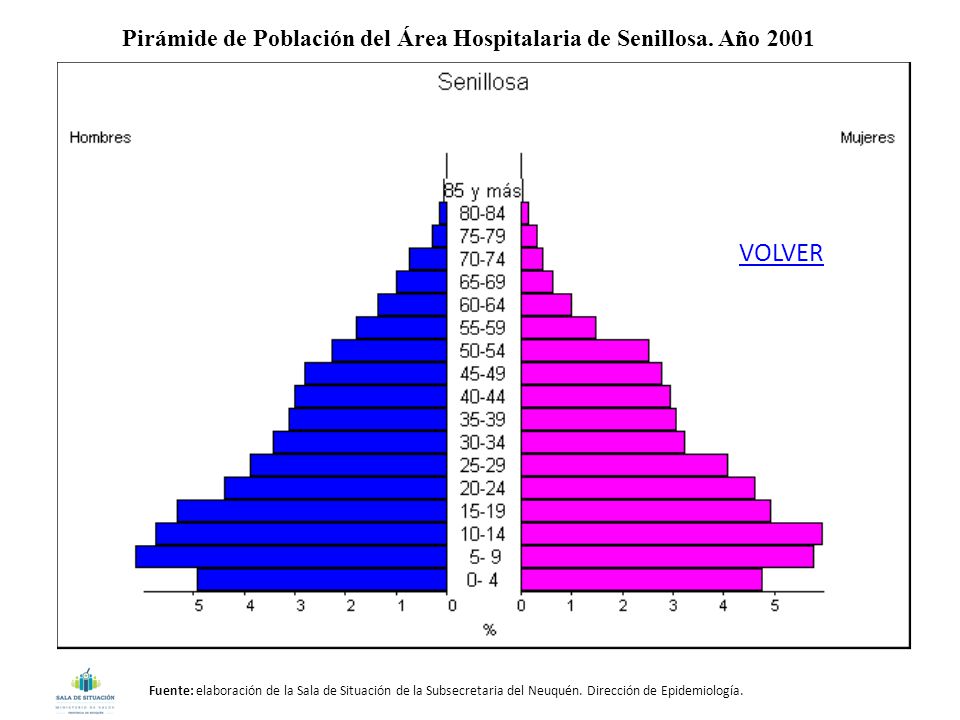 Pirámide de Población del Área Hospitalaria de Senillosa. Año 2001