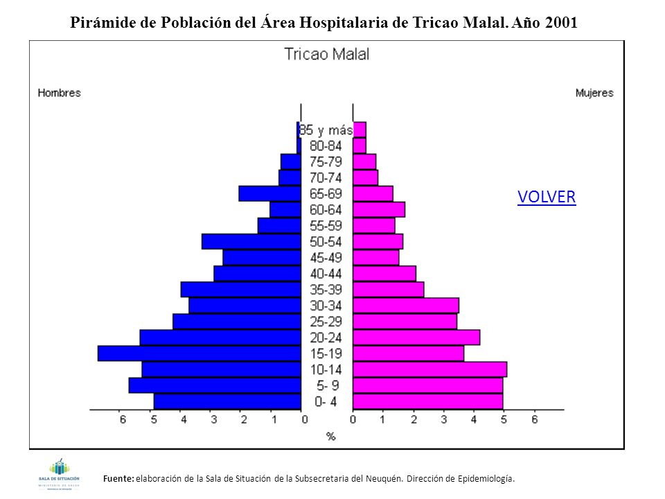 Pirámide de Población del Área Hospitalaria de Tricao Malal. Año 2001
