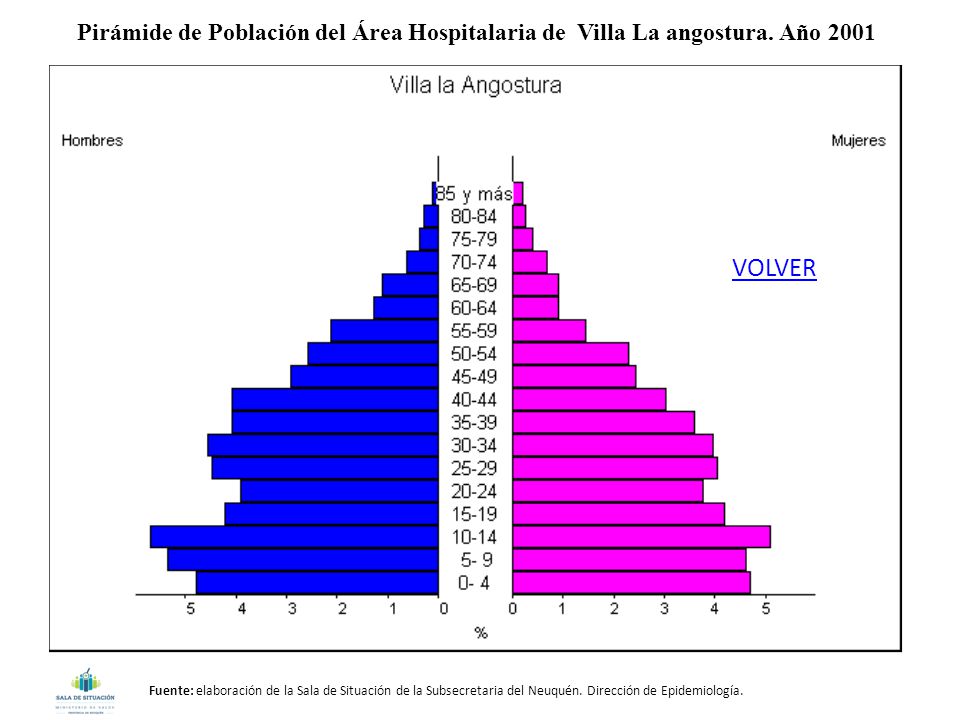 Pirámide de Población del Área Hospitalaria de Villa La angostura