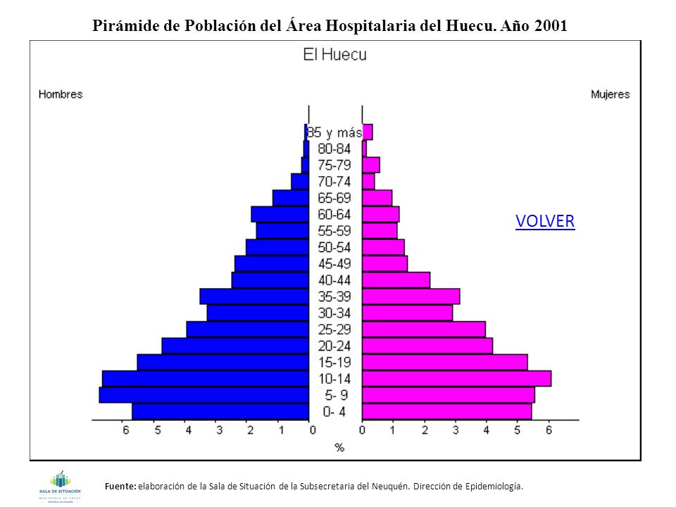 Pirámide de Población del Área Hospitalaria del Huecu. Año 2001