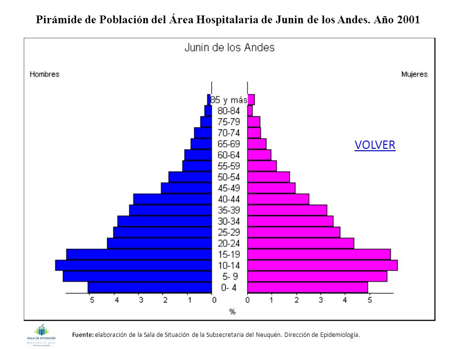 Pirámide de Población del Área Hospitalaria de Junin de los Andes