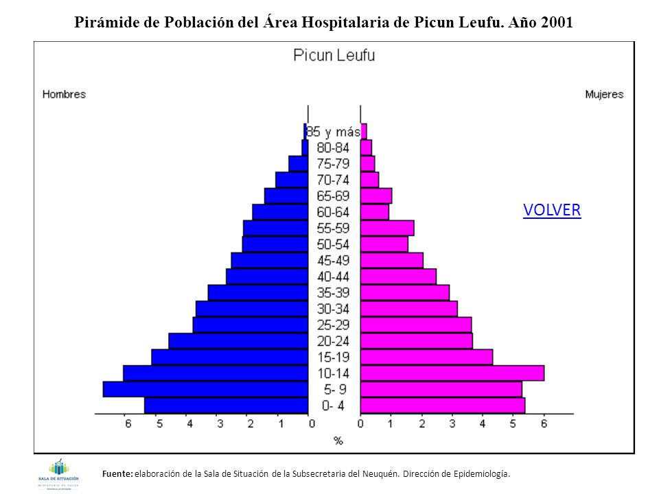 Pirámide de Población del Área Hospitalaria de Picun Leufu. Año 2001