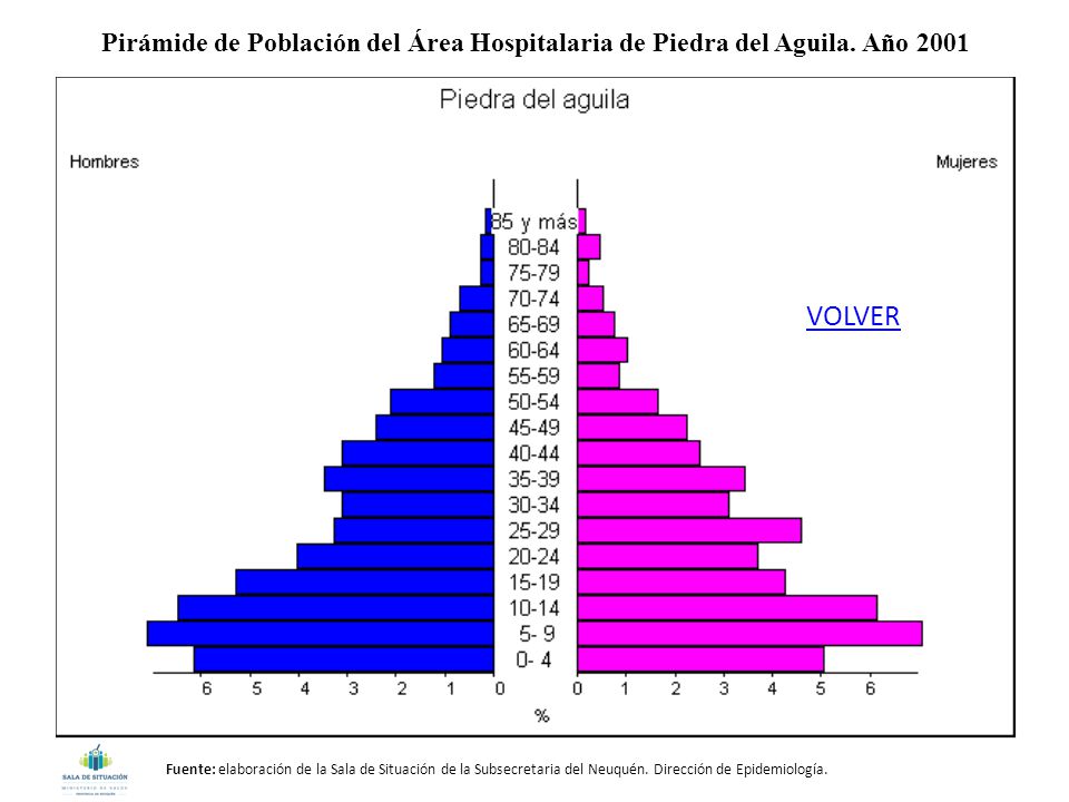 Pirámide de Población del Área Hospitalaria de Piedra del Aguila