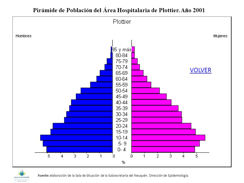 Pirámide de Población del Área Hospitalaria de Plottier. Año 2001