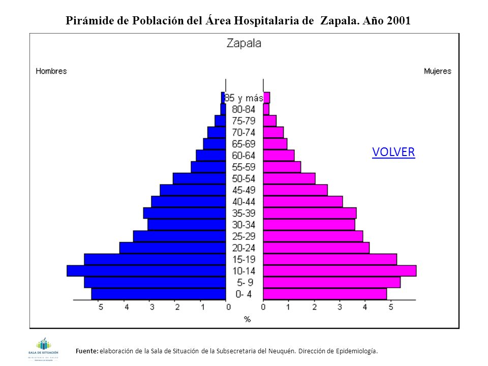 Pirámide de Población del Área Hospitalaria de Zapala. Año 2001