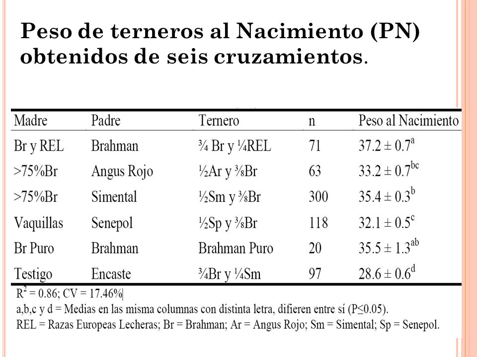 Peso de terneros al Nacimiento (PN) obtenidos de seis cruzamientos.
