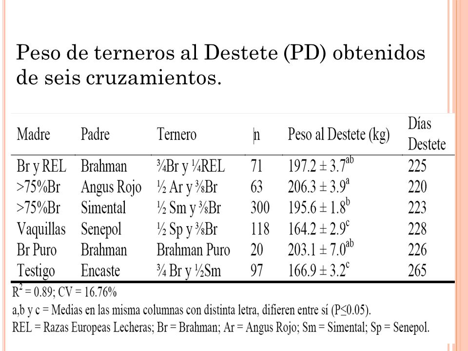 Peso de terneros al Destete (PD) obtenidos de seis cruzamientos.