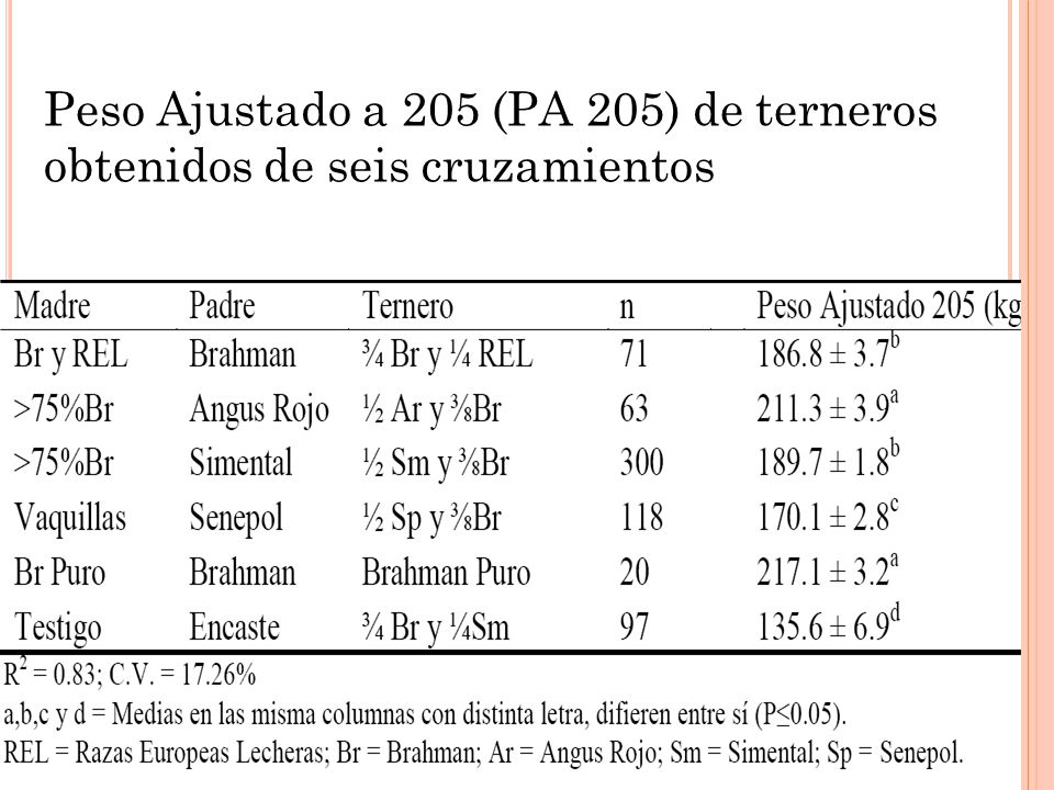 Peso Ajustado a 205 (PA 205) de terneros obtenidos de seis cruzamientos