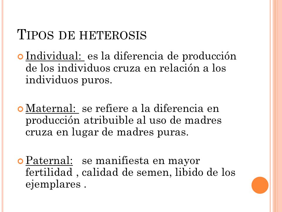 Tipos de heterosis Individual: es la diferencia de producción de los individuos cruza en relación a los individuos puros.