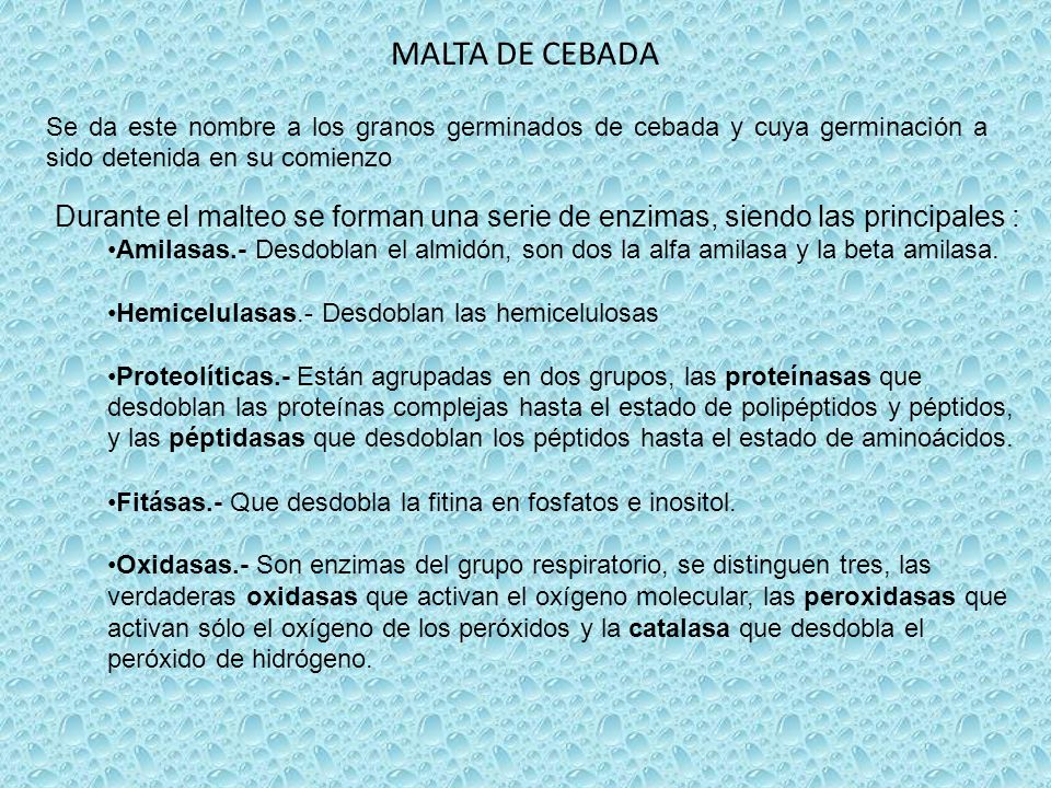 MALTA DE CEBADA Se da este nombre a los granos germinados de cebada y cuya germinación a sido detenida en su comienzo.