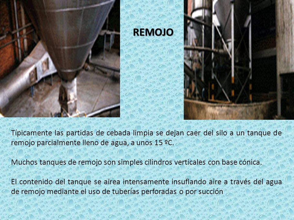 REMOJO Típicamente las partidas de cebada limpia se dejan caer del silo a un tanque de remojo parcialmente lleno de agua, a unos 15 ºC.