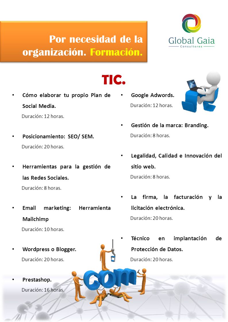 TIC. Por necesidad de la organización. Formación.