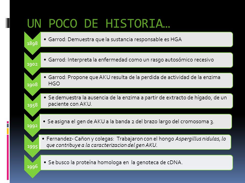 UN POCO DE HISTORIA… Garrod: Demuestra que la sustancia responsable es HGA
