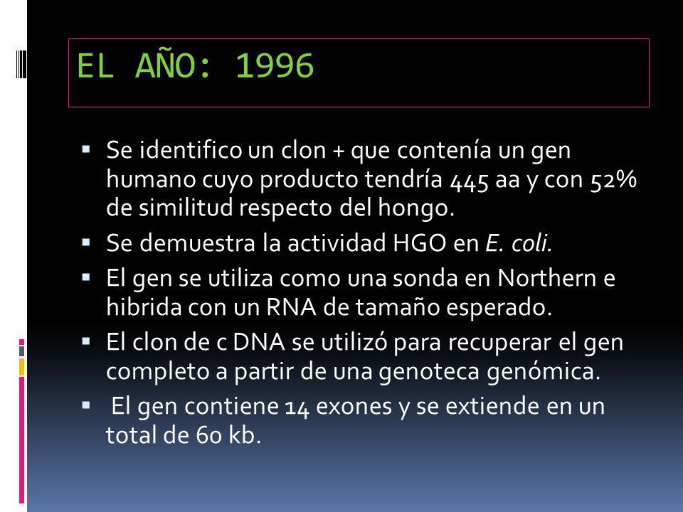 EL AÑO: 1996 Se identifico un clon + que contenía un gen humano cuyo producto tendría 445 aa y con 52% de similitud respecto del hongo.
