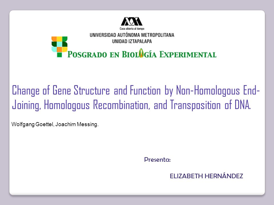 Change of Gene Structure and Function by Non-Homologous End-Joining, Homologous Recombination, and Transposition of DNA.
