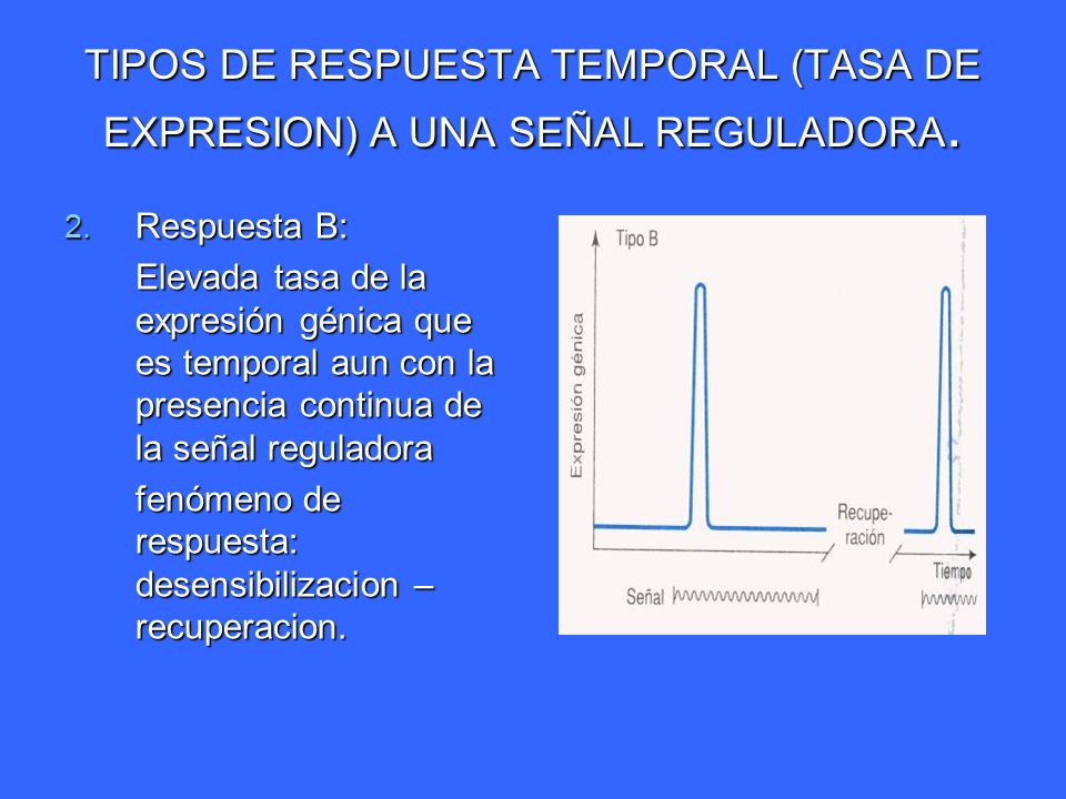 TIPOS DE RESPUESTA TEMPORAL (TASA DE EXPRESION) A UNA SEÑAL REGULADORA.