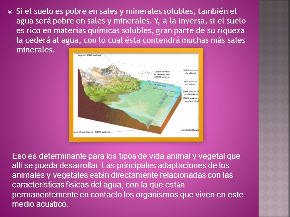 Si el suelo es pobre en sales y minerales solubles, también el agua será pobre en sales y minerales. Y, a la inversa, si el suelo es rico en materias químicas solubles, gran parte de su riqueza la cederá al agua, con lo cual ésta contendrá muchas más sales minerales.