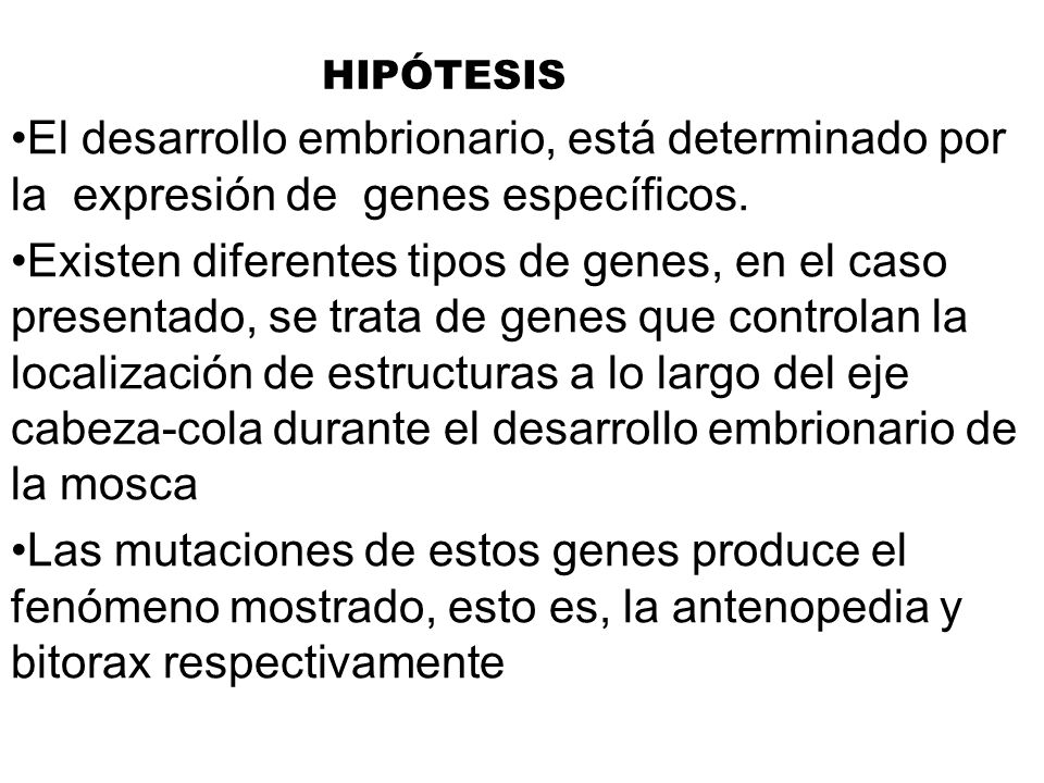 HIPÓTESIS El desarrollo embrionario, está determinado por la expresión de genes específicos.