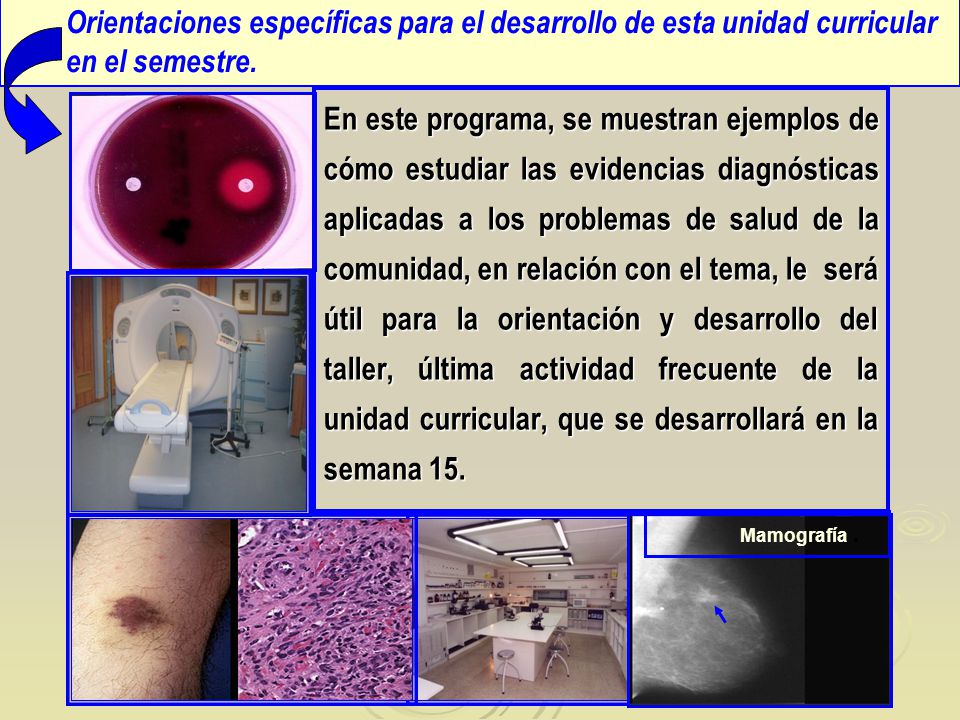 Orientaciones específicas para el desarrollo de esta unidad curricular en el semestre.