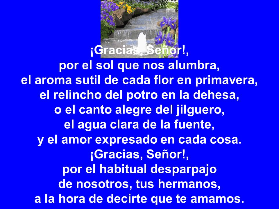por el sol que nos alumbra, el aroma sutil de cada flor en primavera,