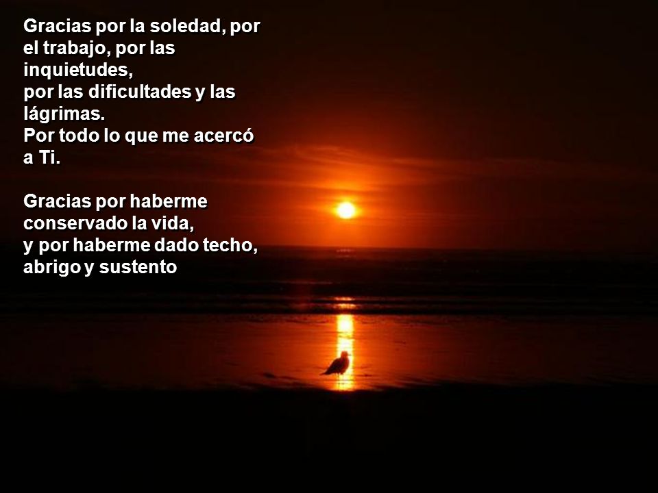 Gracias por la soledad, por el trabajo, por las inquietudes,